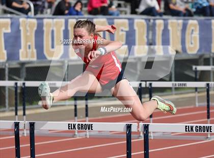 Thumbnail 2 in Herd Roundup @ Elk Grove photogallery.