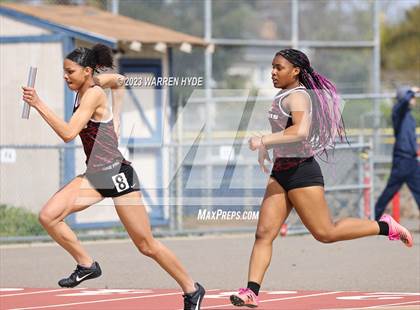 Thumbnail 2 in Herd Roundup @ Elk Grove photogallery.