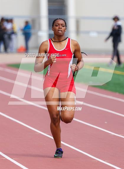 Thumbnail 3 in Herd Roundup @ Elk Grove photogallery.