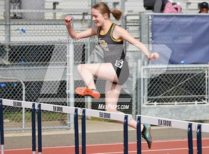 Thumbnail 3 in Herd Roundup @ Elk Grove photogallery.
