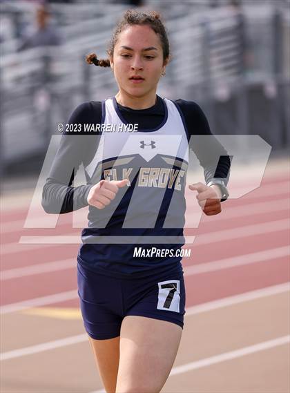 Thumbnail 2 in Herd Roundup @ Elk Grove photogallery.