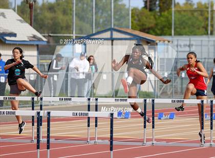 Thumbnail 2 in Herd Roundup @ Elk Grove photogallery.