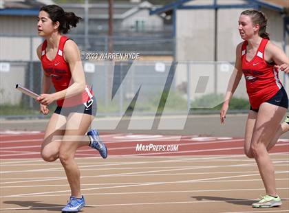 Thumbnail 3 in Herd Roundup @ Elk Grove photogallery.