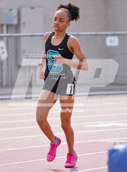 Thumbnail 2 in Herd Roundup @ Elk Grove photogallery.