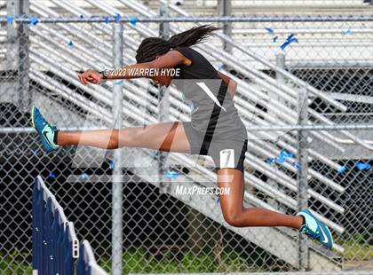 Thumbnail 3 in Herd Roundup @ Elk Grove photogallery.