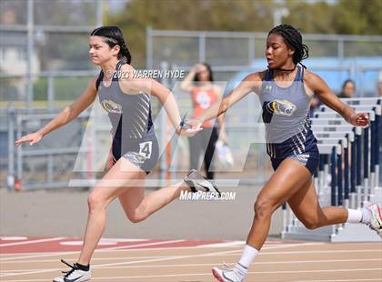 Thumbnail 3 in Herd Roundup @ Elk Grove photogallery.