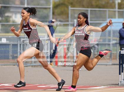 Thumbnail 1 in Herd Roundup @ Elk Grove photogallery.