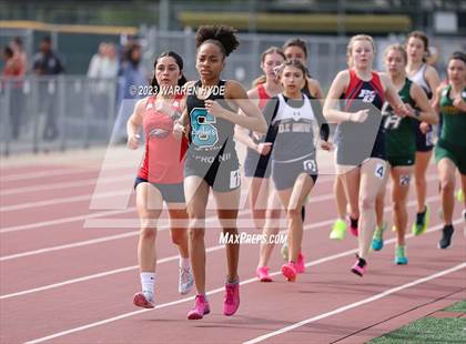 Thumbnail 3 in Herd Roundup @ Elk Grove photogallery.