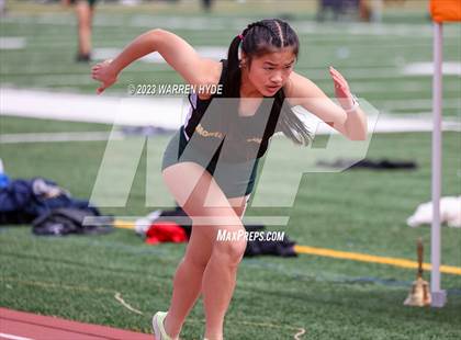 Thumbnail 1 in Herd Roundup @ Elk Grove photogallery.