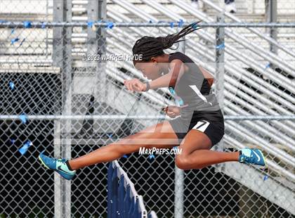 Thumbnail 1 in Herd Roundup @ Elk Grove photogallery.
