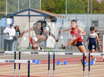 Thumbnail 3 in Herd Roundup @ Elk Grove photogallery.