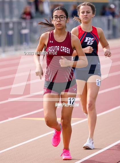 Thumbnail 3 in Herd Roundup @ Elk Grove photogallery.