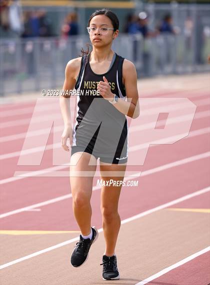 Thumbnail 1 in Herd Roundup @ Elk Grove photogallery.