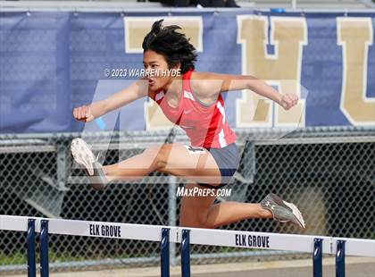 Thumbnail 3 in Herd Roundup @ Elk Grove photogallery.