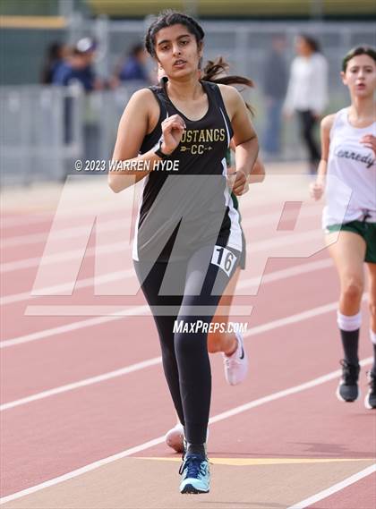 Thumbnail 3 in Herd Roundup @ Elk Grove photogallery.