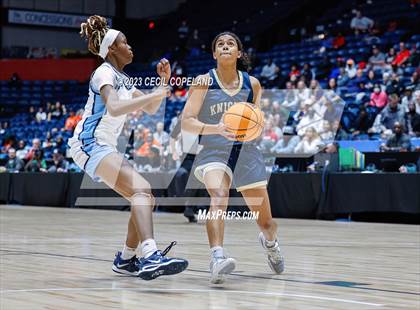 Thumbnail 1 in Lovejoy vs. River Ridge (GHSA 6A Championship) photogallery.