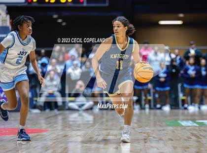 Thumbnail 2 in Lovejoy vs. River Ridge (GHSA 6A Championship) photogallery.