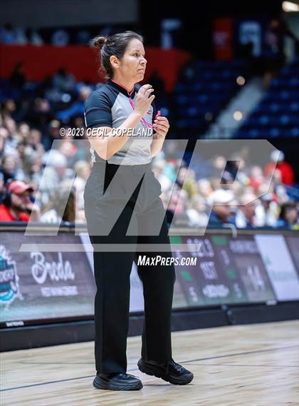 Thumbnail 2 in Lovejoy vs. River Ridge (GHSA 6A Championship) photogallery.