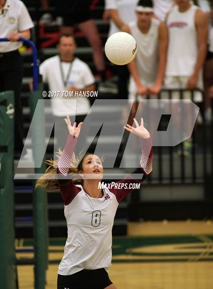 Thumbnail 3 in Rocky Mountain @ Fossil Ridge photogallery.