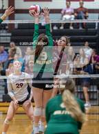 Photo from the gallery "Greenbrier @ Lakeside"