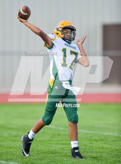 Thumbnail 3 in Bishop Manogue @ Yerington photogallery.