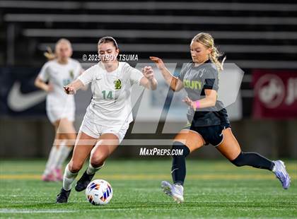 Thumbnail 1 in West Linn @ Jesuit (OSAA 6A Final) photogallery.