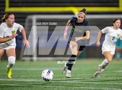 Thumbnail 3 in West Linn @ Jesuit (OSAA 6A Final) photogallery.