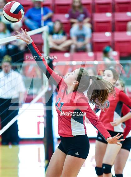 Thumbnail 3 in Bryson @ Mineral Wells photogallery.