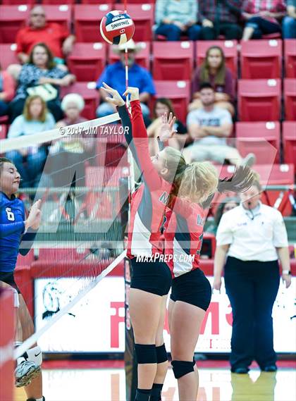Thumbnail 3 in Bryson @ Mineral Wells photogallery.