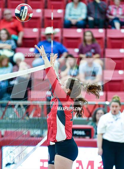 Thumbnail 3 in Bryson @ Mineral Wells photogallery.