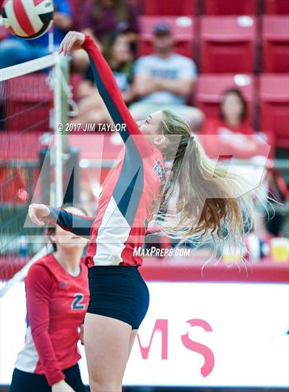 Thumbnail 1 in Bryson @ Mineral Wells photogallery.