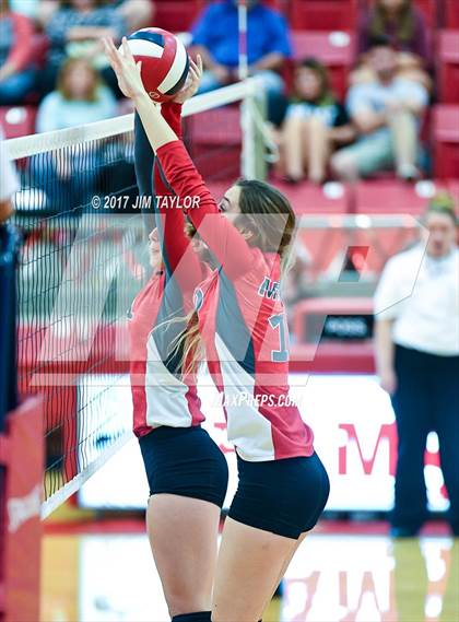 Thumbnail 3 in Bryson @ Mineral Wells photogallery.