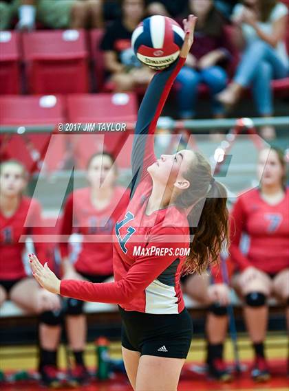 Thumbnail 3 in Bryson @ Mineral Wells photogallery.