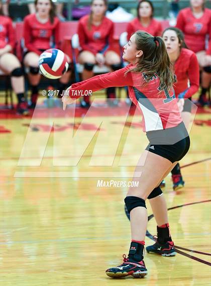Thumbnail 1 in Bryson @ Mineral Wells photogallery.