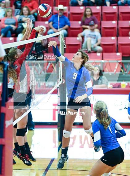 Thumbnail 2 in Bryson @ Mineral Wells photogallery.