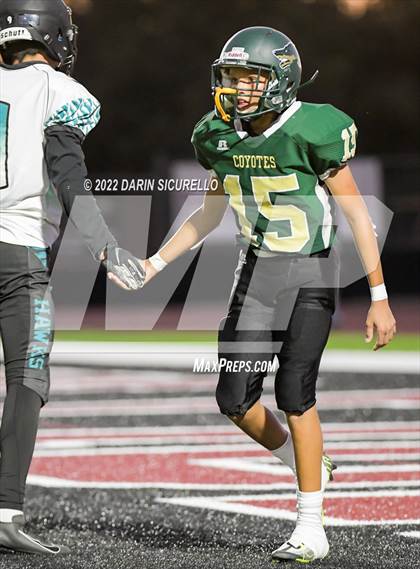 Thumbnail 1 in Skyline vs Highland photogallery.