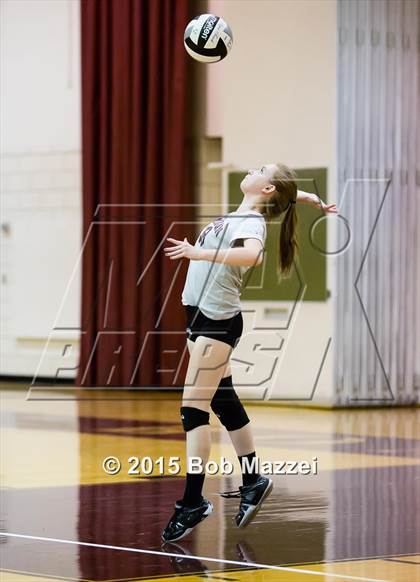 Thumbnail 1 in Canfield @ Boardman photogallery.