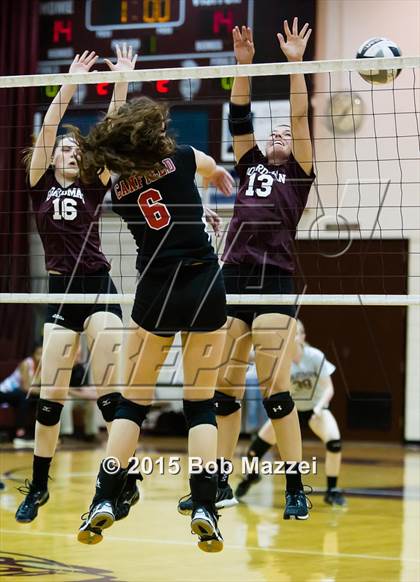 Thumbnail 2 in Canfield @ Boardman photogallery.