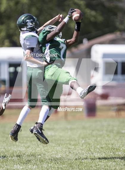 Thumbnail 3 in Metro-East Lutheran/Madison @ Madison photogallery.