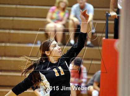 Thumbnail 1 in Fivay @ Zephyrhills photogallery.