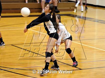 Thumbnail 2 in Fivay @ Zephyrhills photogallery.
