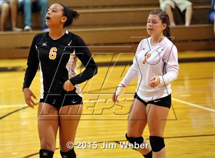 Thumbnail 3 in Fivay @ Zephyrhills photogallery.
