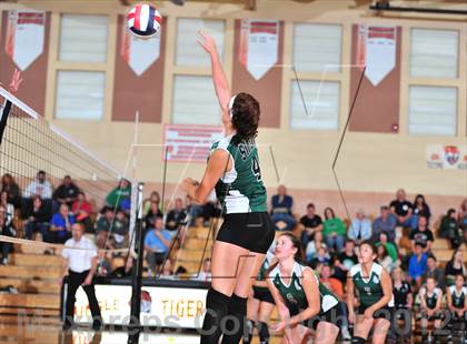 Thumbnail 1 in Siren @ Webster photogallery.