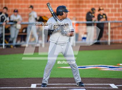 Thumbnail 2 in Garland @ Sachse photogallery.