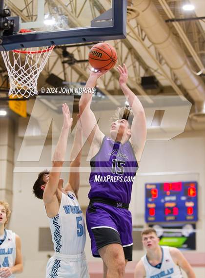 Thumbnail 1 in Leo @ Woodlan photogallery.