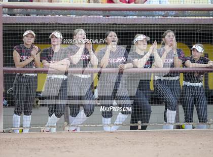 Thumbnail 3 in Salpointe Catholic vs. Coconino (AIA 4A Final) photogallery.