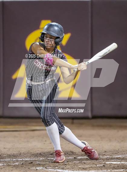Thumbnail 2 in Salpointe Catholic vs. Coconino (AIA 4A Final) photogallery.