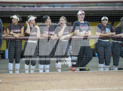 Thumbnail 3 in Salpointe Catholic vs. Coconino (AIA 4A Final) photogallery.