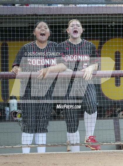 Thumbnail 2 in Salpointe Catholic vs. Coconino (AIA 4A Final) photogallery.