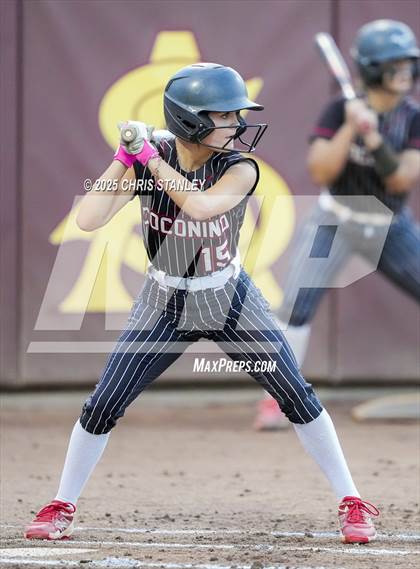 Thumbnail 3 in Salpointe Catholic vs. Coconino (AIA 4A Final) photogallery.